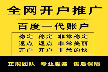 百度竞价运营的挑战与机遇：成功案例探讨